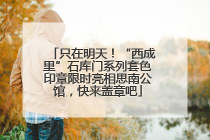 只在明天！“西成里”石库门系列套色印章限时亮相思南公馆，快来盖章吧