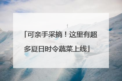 可亲手采摘！这里有超多夏日时令蔬菜上线