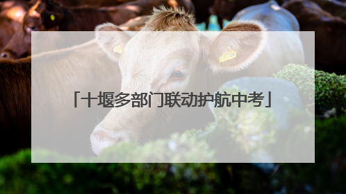 十堰多部门联动护航中考