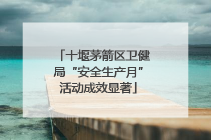 十堰茅箭区卫健局“安全生产月”活动成效显著