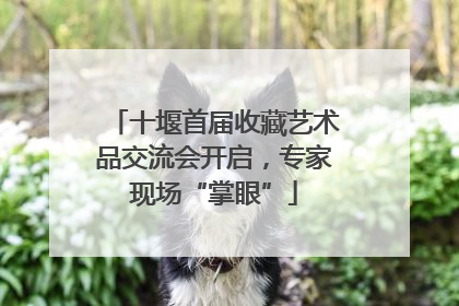 十堰首届收藏艺术品交流会开启，专家现场“掌眼”