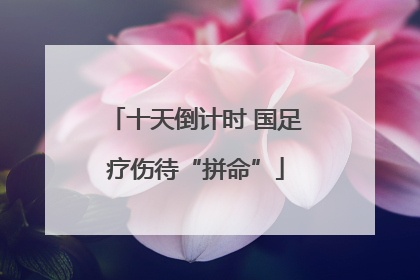 十天倒计时 国足疗伤待“拼命”