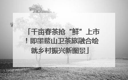 千亩春茶抢“鲜”上市！即墨鳌山卫茶旅融合绘就乡村振兴新图景