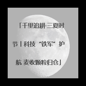 千里追耕·三夏时节丨科技“铁军”护航 麦收颗粒归仓