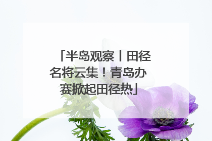 半岛观察丨田径名将云集！青岛办赛掀起田径热