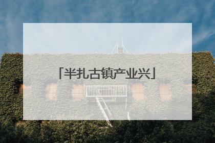 半扎古镇产业兴