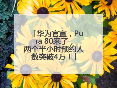 华为官宣，Pura 80来了，两个半小时预约人数突破4万！