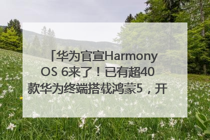 华为官宣HarmonyOS 6来了！已有超40款华为终端搭载鸿蒙5，开发者突破800万