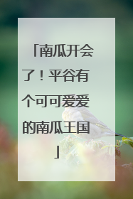 南瓜开会了！平谷有个可可爱爱的南瓜王国