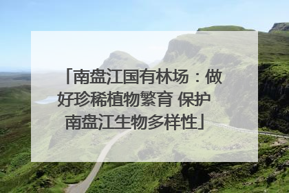 南盘江国有林场：做好珍稀植物繁育 保护南盘江生物多样性