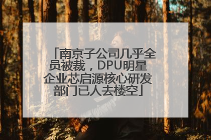 南京子公司几乎全员被裁，DPU明星企业芯启源核心研发部门已人去楼空