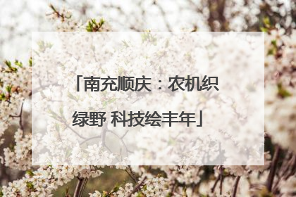 南充顺庆：农机织绿野 科技绘丰年
