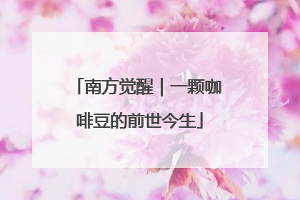 南方觉醒｜一颗咖啡豆的前世今生