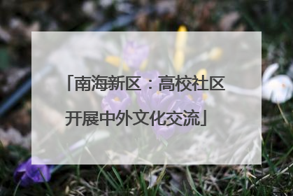 南海新区：高校社区开展中外文化交流