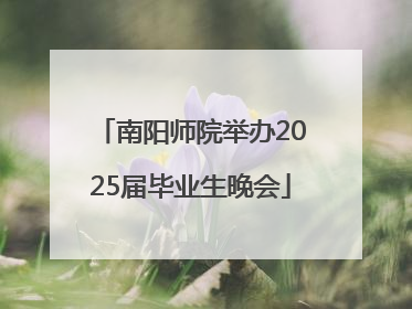 南阳师院举办2025届毕业生晚会