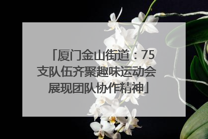 厦门金山街道：75支队伍齐聚趣味运动会 展现团队协作精神
