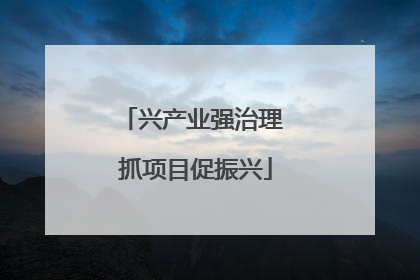 兴产业强治理 抓项目促振兴