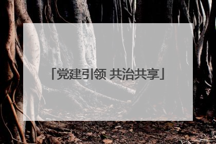 党建引领 共治共享