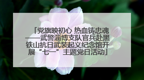 党旗映初心 热血铸忠魂——武警淄博支队官兵赴黑铁山抗日武装起义纪念馆开展“七一”主题党日活动