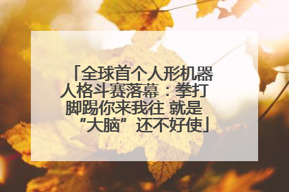 全球首个人形机器人格斗赛落幕：拳打脚踢你来我往 就是“大脑”还不好使