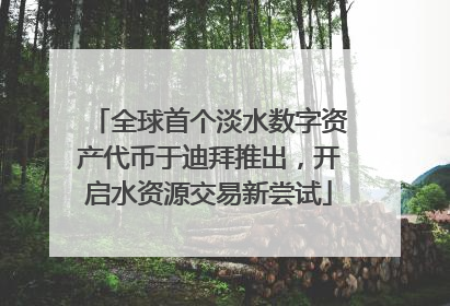 全球首个淡水数字资产代币于迪拜推出，开启水资源交易新尝试