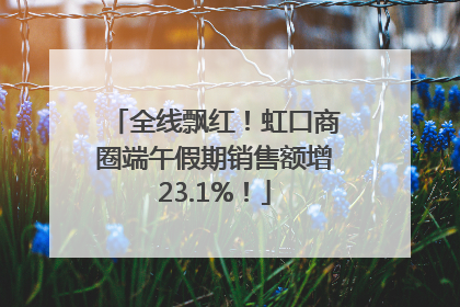 全线飘红！虹口商圈端午假期销售额增23.1%！