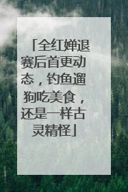 全红婵退赛后首更动态，钓鱼遛狗吃美食，还是一样古灵精怪