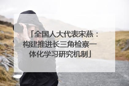 全国人大代表宋燕：构建推进长三角检察一体化学习研究机制