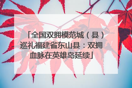 全国双拥模范城（县）巡礼福建省东山县：双拥血脉在英雄岛延续