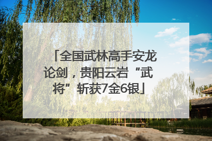 全国武林高手安龙论剑，贵阳云岩“武将”斩获7金6银