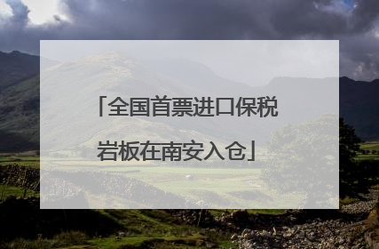 全国首票进口保税岩板在南安入仓