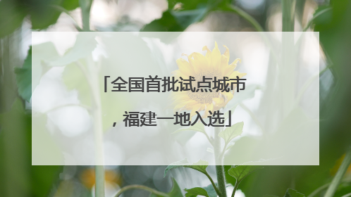 全国首批试点城市，福建一地入选