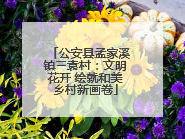 公安县孟家溪镇三袁村：文明花开 绘就和美乡村新画卷