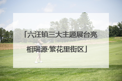 六汪镇三大主题展台亮相瑞源·繁花里街区