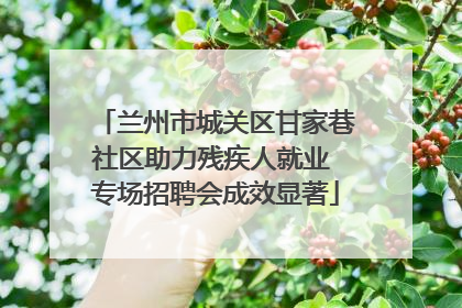 兰州市城关区甘家巷社区助力残疾人就业 专场招聘会成效显著