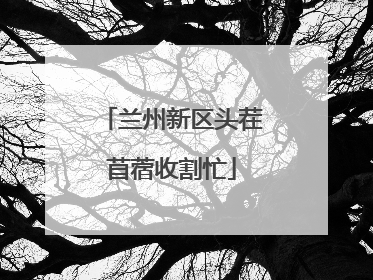 兰州新区头茬苜蓿收割忙