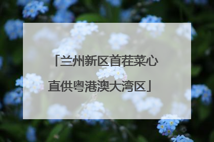 兰州新区首茬菜心直供粤港澳大湾区