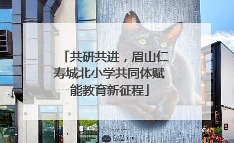 共研共进，眉山仁寿城北小学共同体赋能教育新征程