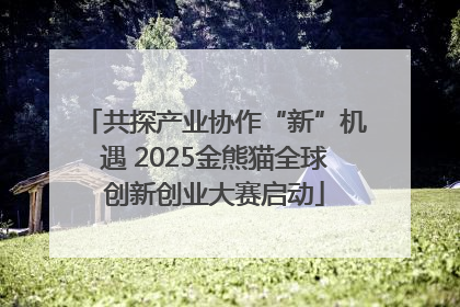 共探产业协作“新”机遇 2025金熊猫全球创新创业大赛启动