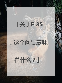 关于F-35，这个问号意味着什么？