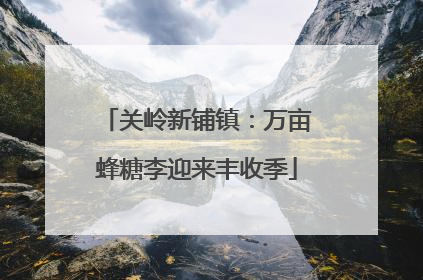 关岭新铺镇：万亩蜂糖李迎来丰收季