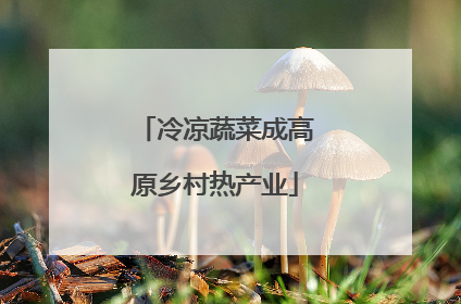 冷凉蔬菜成高原乡村热产业