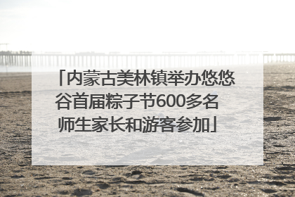 内蒙古美林镇举办悠悠谷首届粽子节600多名师生家长和游客参加