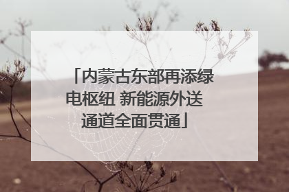 内蒙古东部再添绿电枢纽 新能源外送通道全面贯通