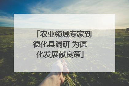 农业领域专家到德化县调研 为德化发展献良策