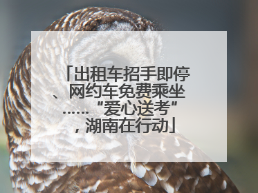 出租车招手即停、网约车免费乘坐……“爱心送考”，湖南在行动