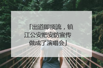 出道即顶流，镇江公安把安防宣传做成了演唱会