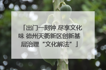 出门一刻钟 尽享文化味 德州天衢新区创新基层治理“文化解法”