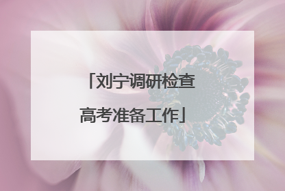刘宁调研检查高考准备工作