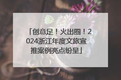 创意足！火出圈！2024浙江年度文旅宣推案例亮点纷呈